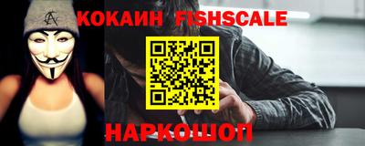 крисы Кулебаки