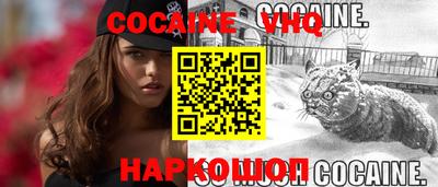 крисы Кулебаки