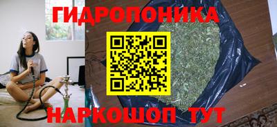 крисы Кулебаки
