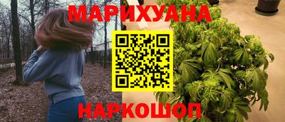 крисы Кулебаки