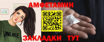 крисы Кулебаки