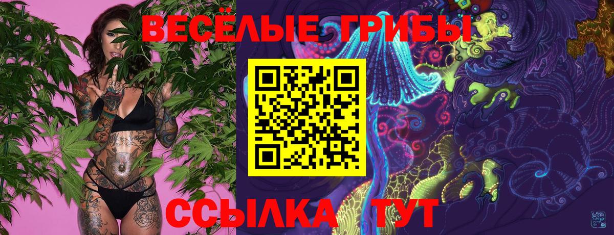 Псилоцибиновые грибы GOLDEN TEACHER  Вход с VPN  Зеленогорск  Псилоцибиновые грибы Cubensis 