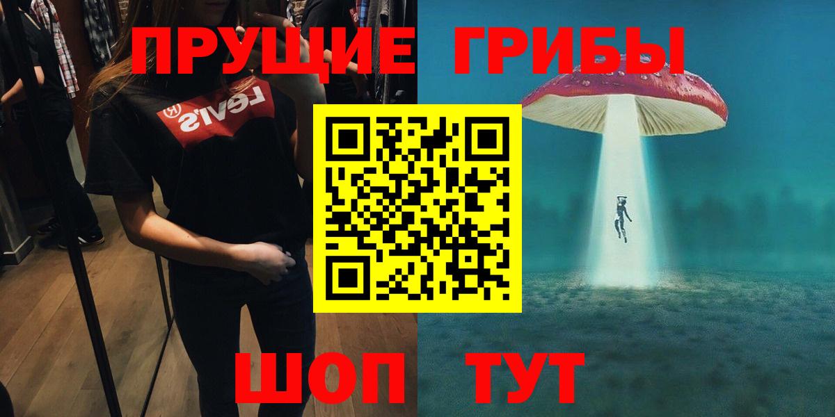 Псилоцибиновые грибы мицелий Зеленогорск